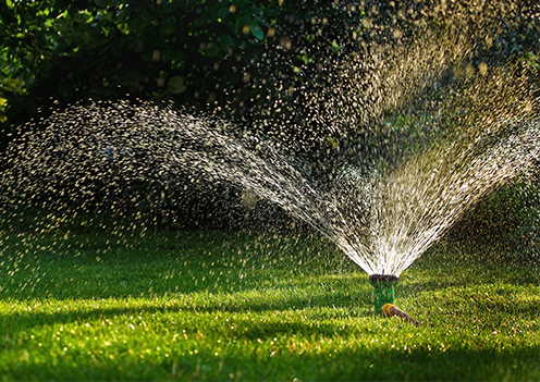Gicleur arrosant le gazon