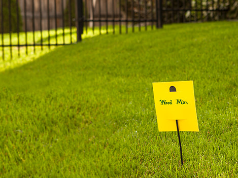 Weed Man sign in green lawn