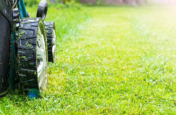 Lawn Mower Cutting Grass