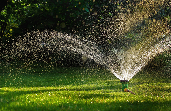 Sprinkler Watering Grass