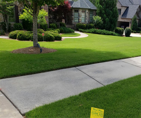 Weed Man Lawn Care Western Canada