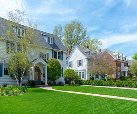 Healthy green lawn, weed man lawn care