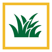 Insect Control Benefit - Healthier Grass