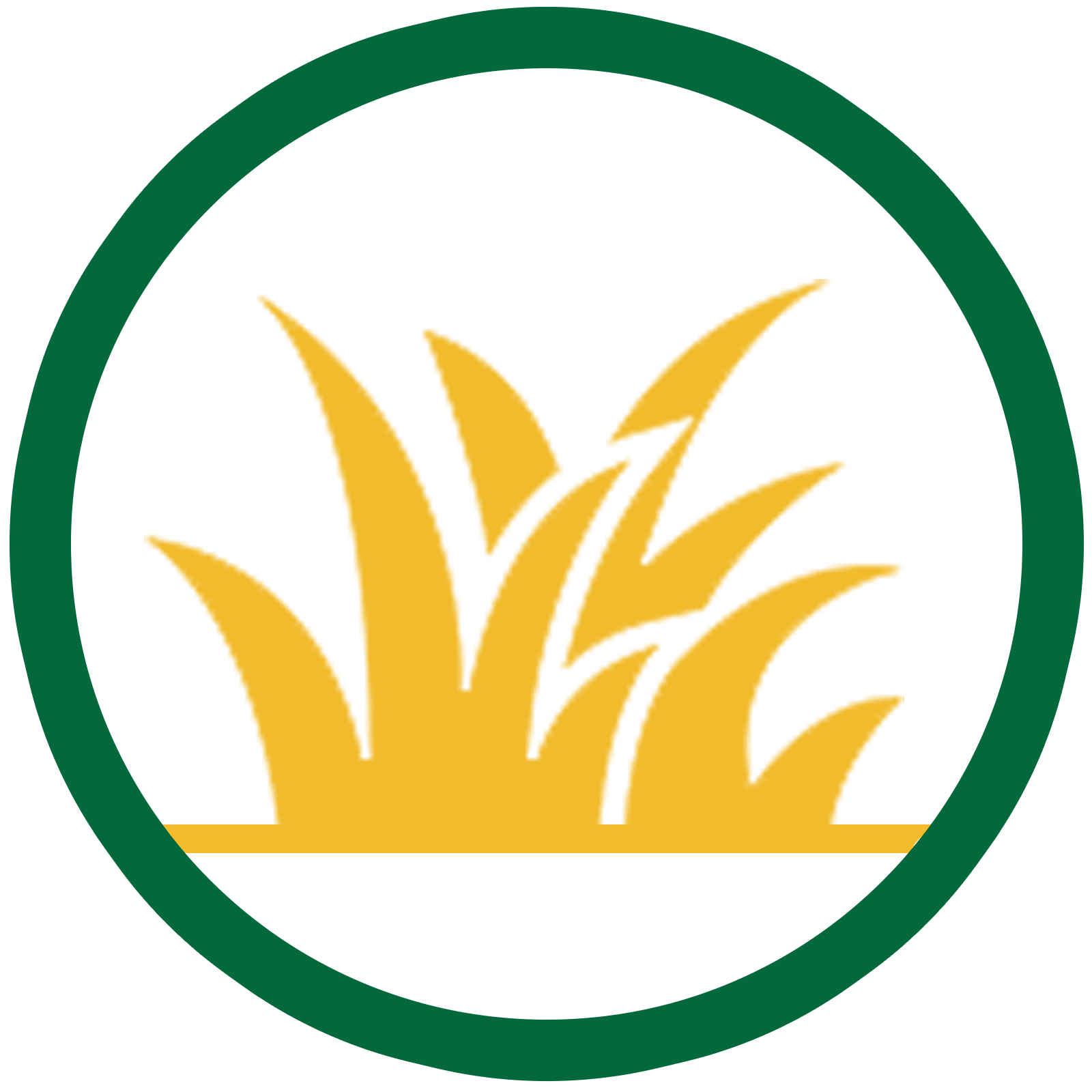 Achieve an Overall Healthier, Greener, Thicker Lawn