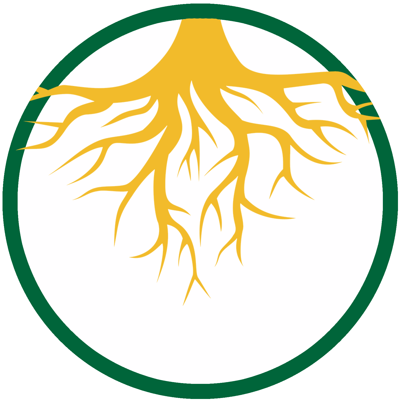 Core Aeration Benefit - Strong Roots