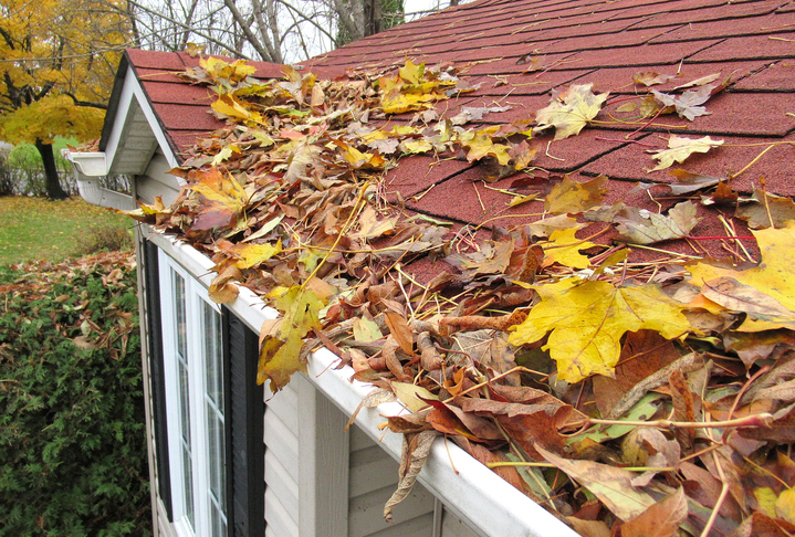 leaves blocking gutters